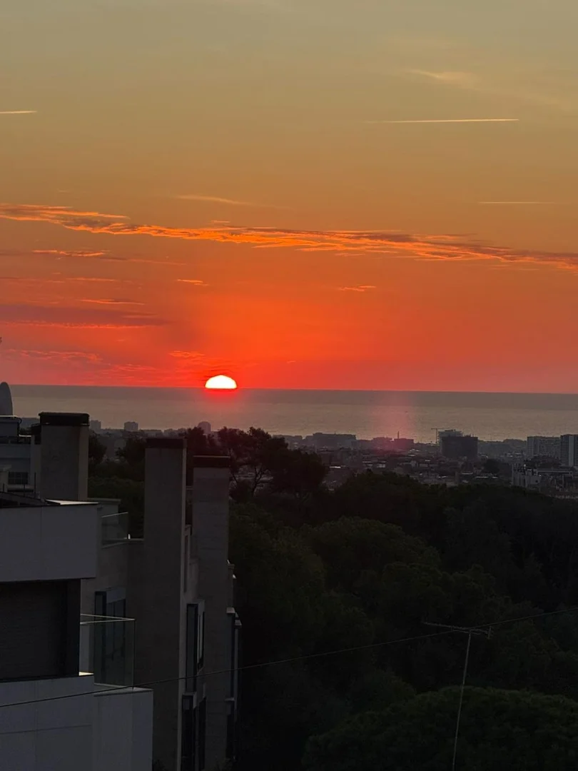 Casa independiente en calle dels Esports, 2 - Foto 8