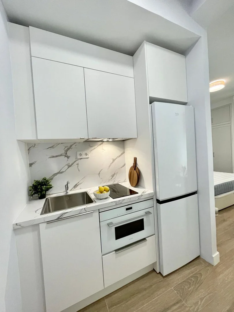 Piso en Barrio Lavapiés-Embajadores - Foto 3