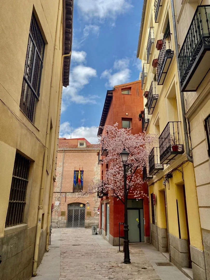 Dúplex en Calle del Nuncio, 9, Palacio - Foto 35