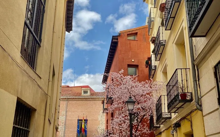 Dúplex en Calle del Nuncio, 9, Palacio - Foto 35