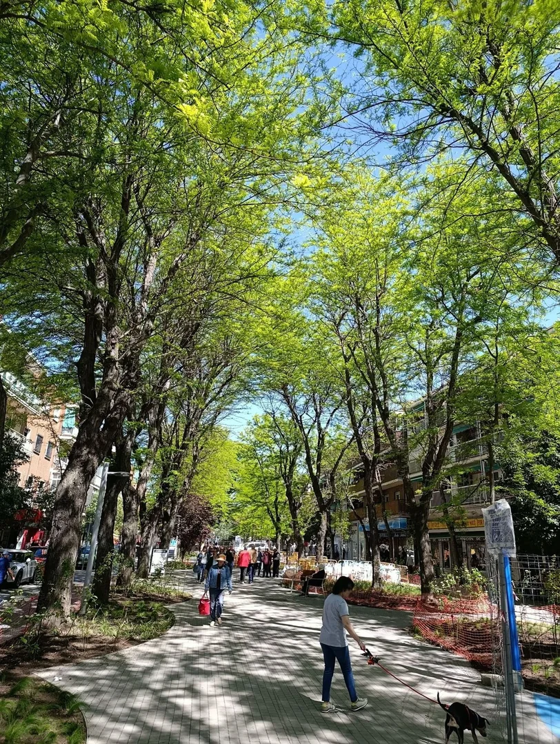 Local en Calle del Monte Aya, 10, Casco Histórico de Vallecas - Foto 6