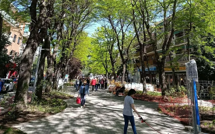 Local en Calle del Monte Aya, 10, Casco Histórico de Vallecas - Foto 6