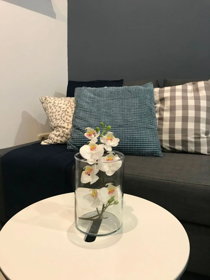 Estudio en calle Calvo Asensio, 10 - Foto 7