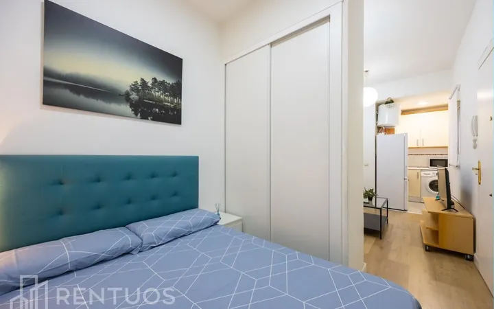 Estudio en Calle Picos de Europa, Numancia - Foto 10