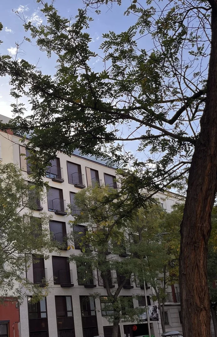 Piso en ronda de Segovia, 15