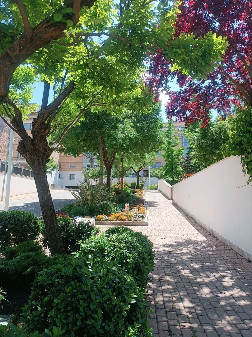 Piso en Avenida del Talgo, 134 - Foto 27