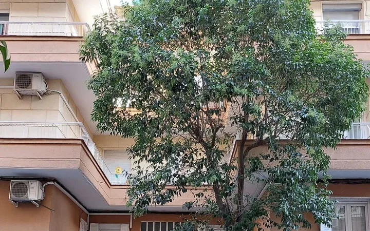 Piso en Pacífico, Pacífico - Foto 31