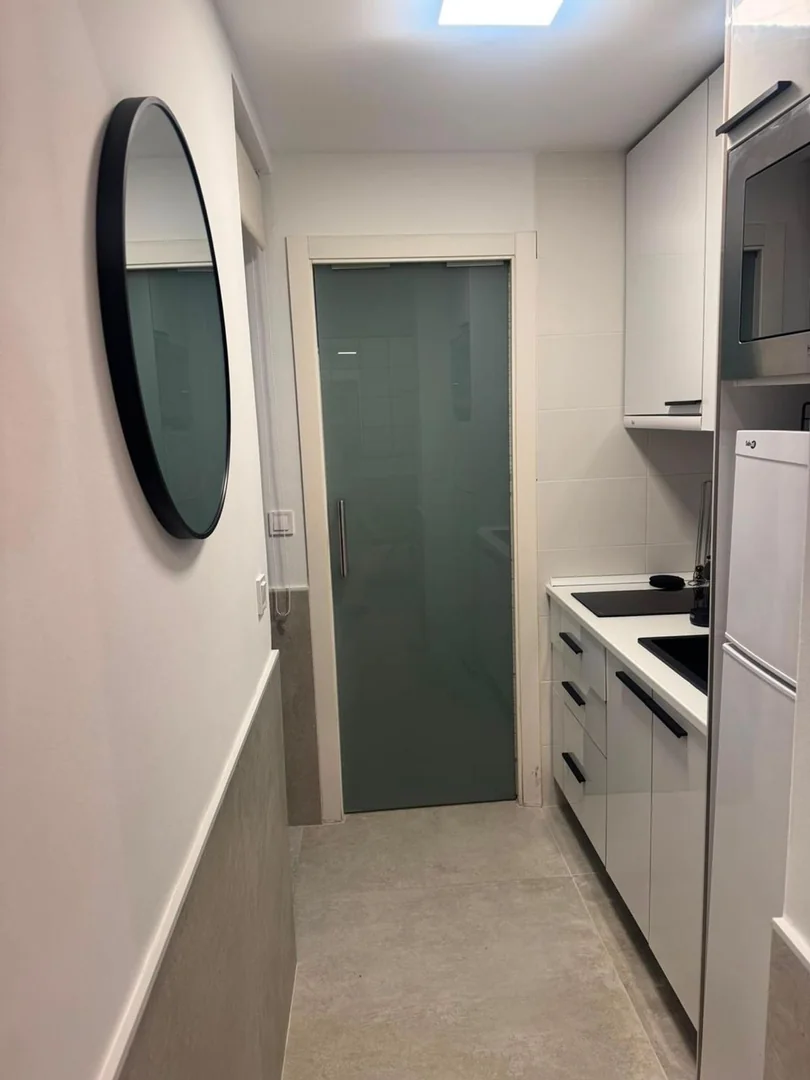 Estudio en Calle del General Pardiñas, 105, Lista - Foto 11
