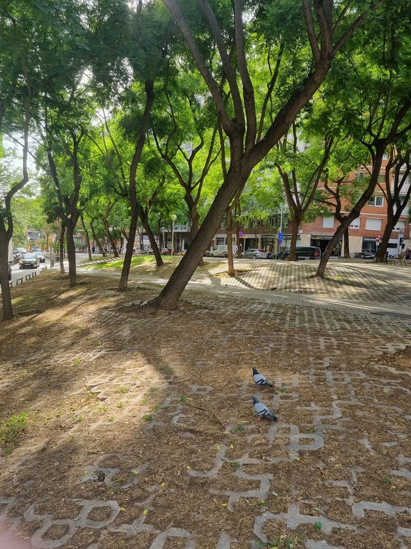 Piso en Calle de les Camèlies, 45, La Salut - Foto 9