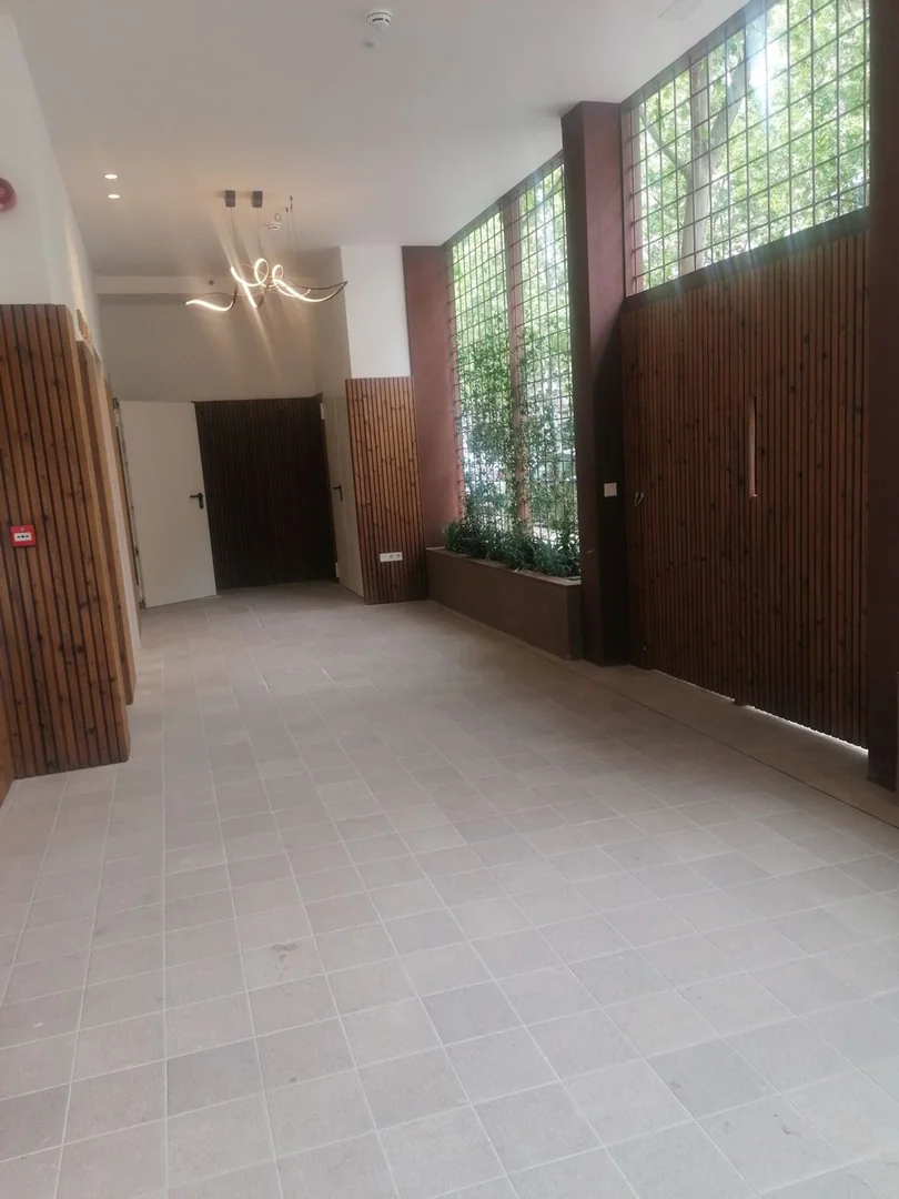 Estudio en Calle de Lope de Haro, Berruguete - Foto 48