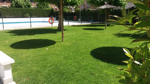 Piso en Avenida del Talgo, 226 - Foto 23