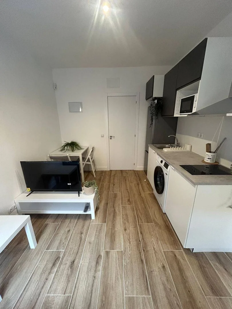 Estudio en Calle de Pío Baroja, 1 - Foto 2