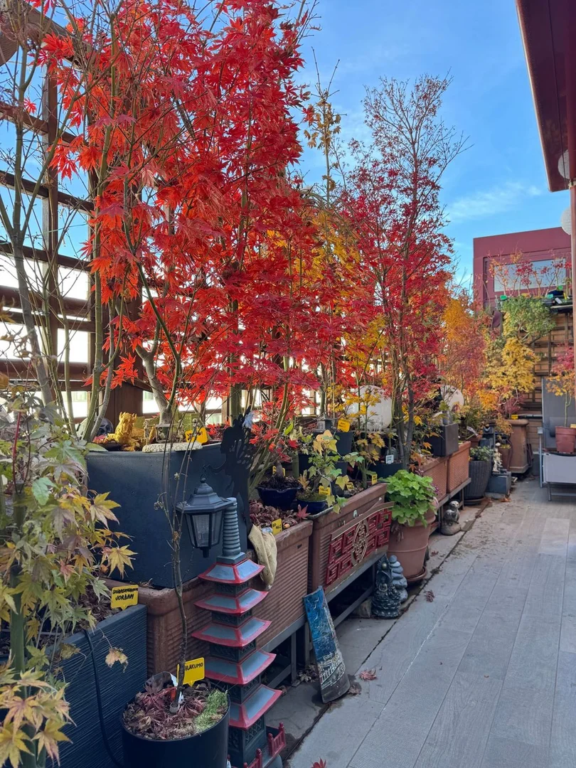 Dúplex en calle de San Romualdo, 35 - Foto 19