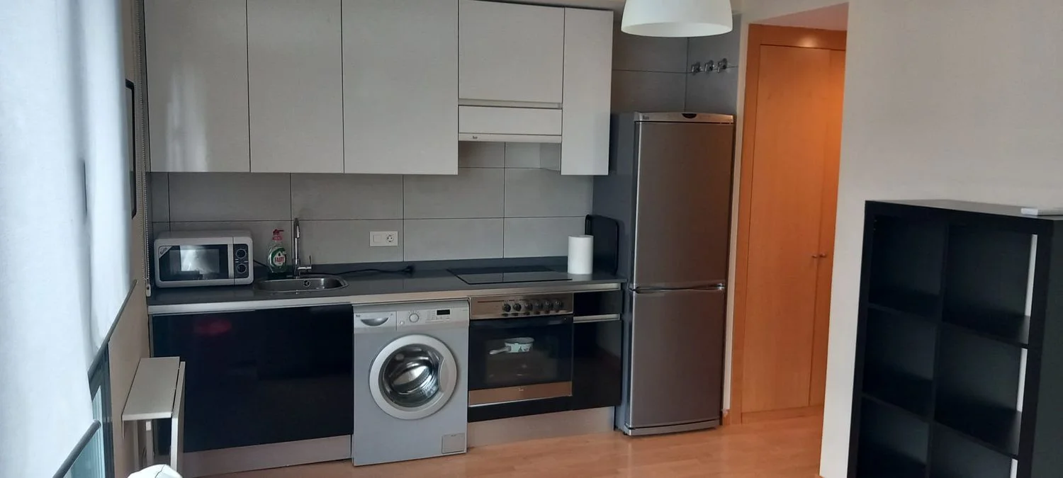 Estudio en paseo de Juan Antonio Vallejo-Nájera Botas, 29 - Foto 8