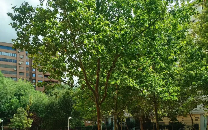 Piso en Calle de Martín Machío, 4, Prosperidad - Foto 19