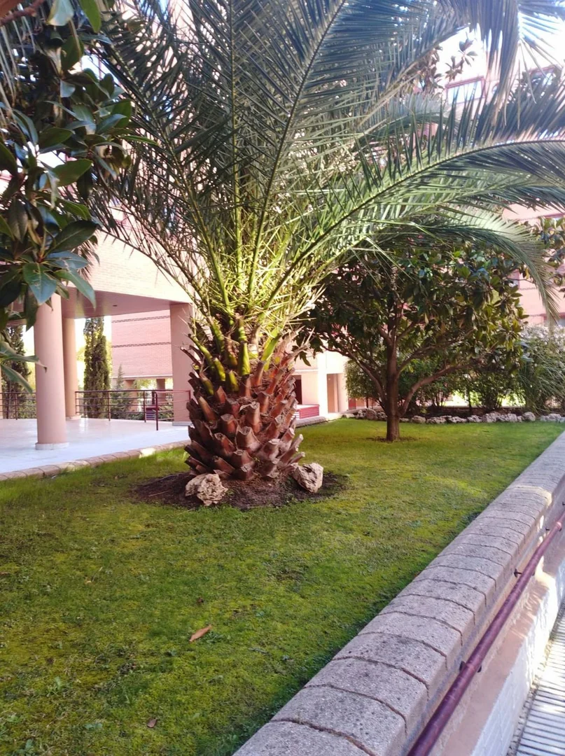 Piso en calle Luisa de Carvajal, 26 - Foto 12