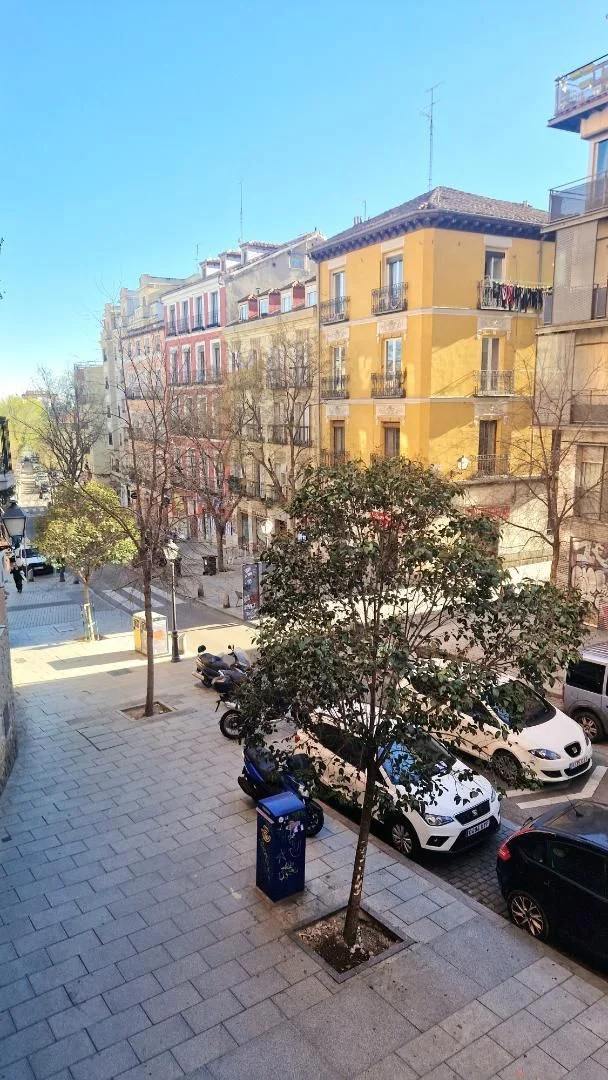 Piso en  Calle de Embajadores 37 - Foto 12