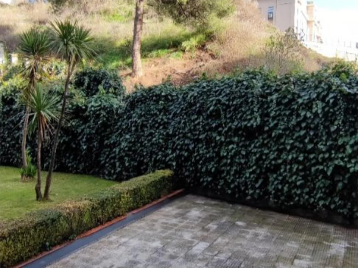 Apartamento en  Calle de Alfonso XII 15 - Foto 3