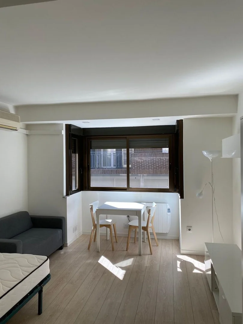Estudio en Calle del Conde de Serrallo, 1, Ventilla-Almenara - Foto 3