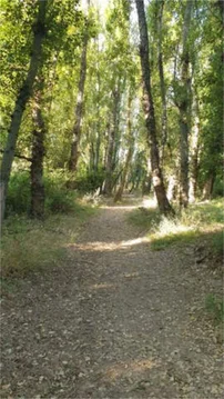 Estudio en Barrio de Salamanca - Foto 17