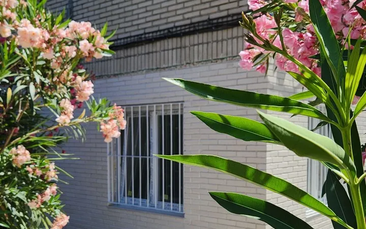 Piso en Calle del Pingüino, 10, Vista Alegre - Foto 23