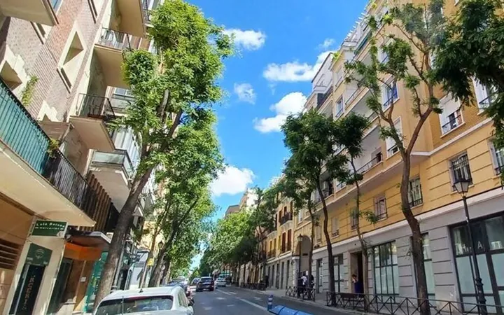Piso en Calle de Blasco de Garay, Arapiles - Foto 17