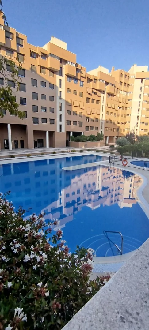 Piso en Calle Minerva, 81, Valdebernardo - Valderrivas - Foto 21