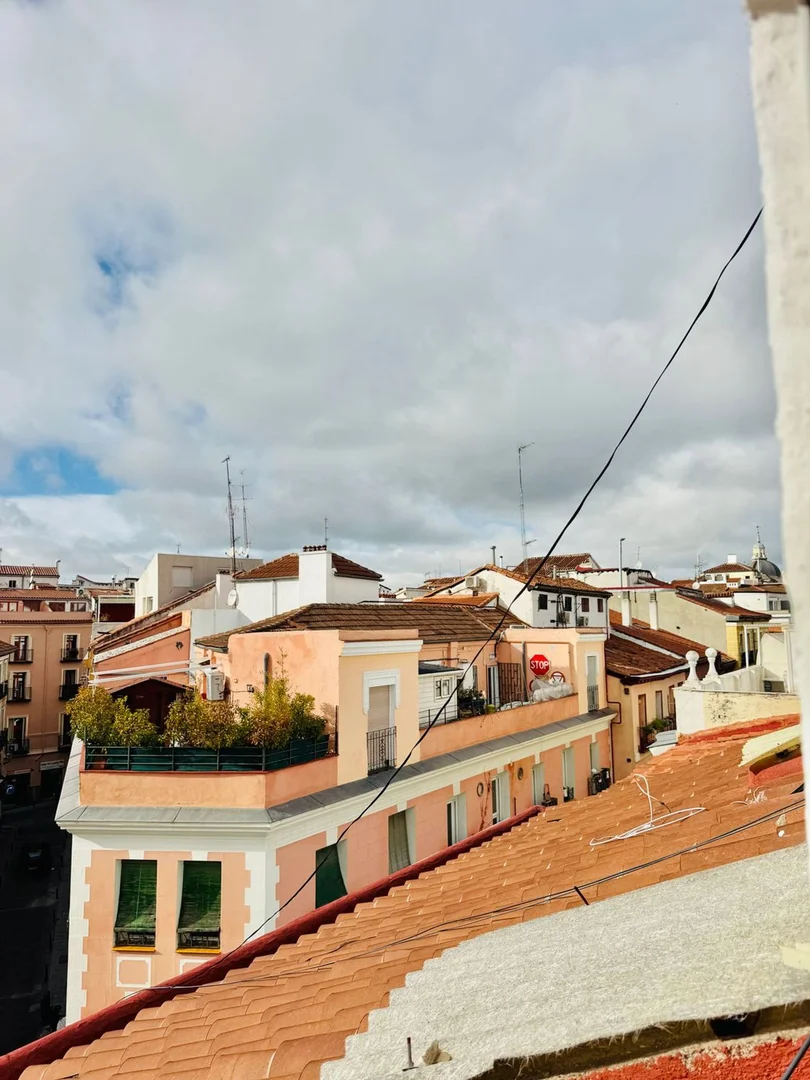 Piso en Barrio Lavapiés-Embajadores - Foto 18