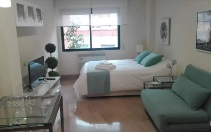 Estudio en Centro - Foto 1