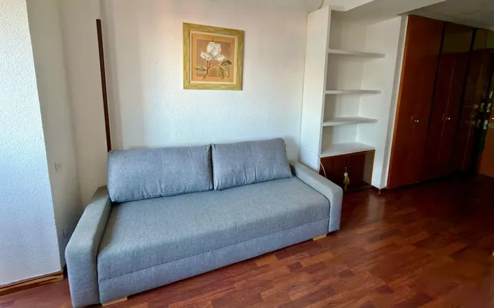 Estudio en Calle de la Infanta Mercedes, Madrid, 92, Cuatro Caminos - Foto 12