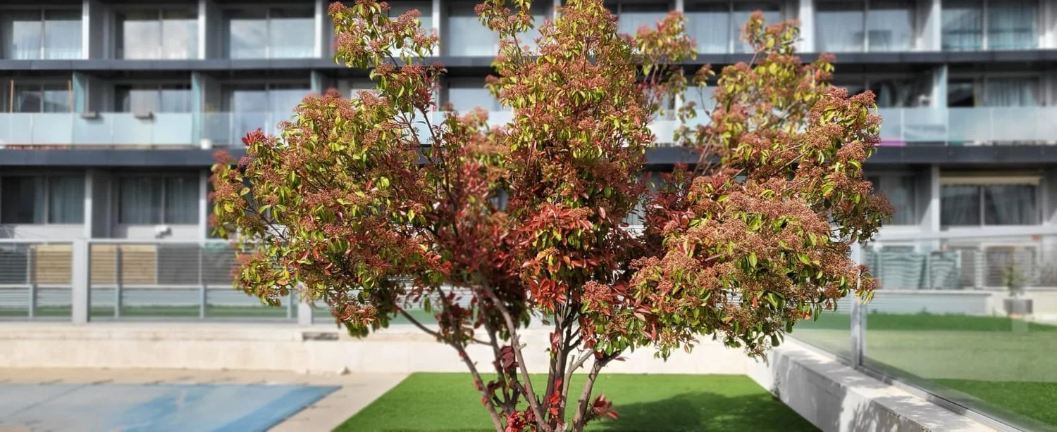 Piso en calle Cerro del Murmullo, 14 - Foto 6