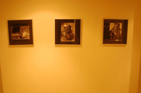 Piso en calle de Josep Pla, 25 - Foto 17