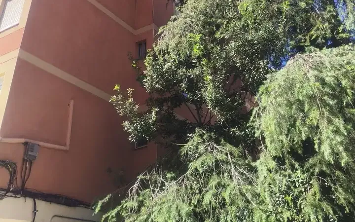 Piso en  Calle de Ángel Luis de la Herrán 1 - Foto 4