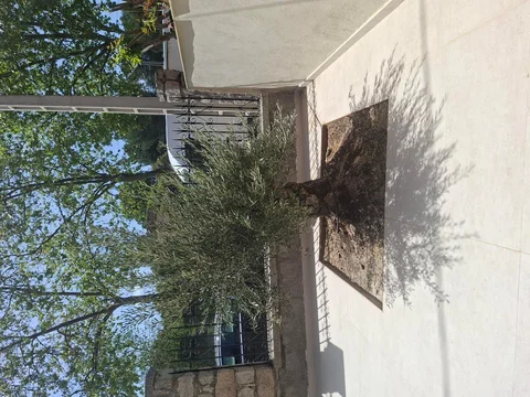 Chalet pareado en calle de Cuevas del Valle, 32 Bis - Foto 3