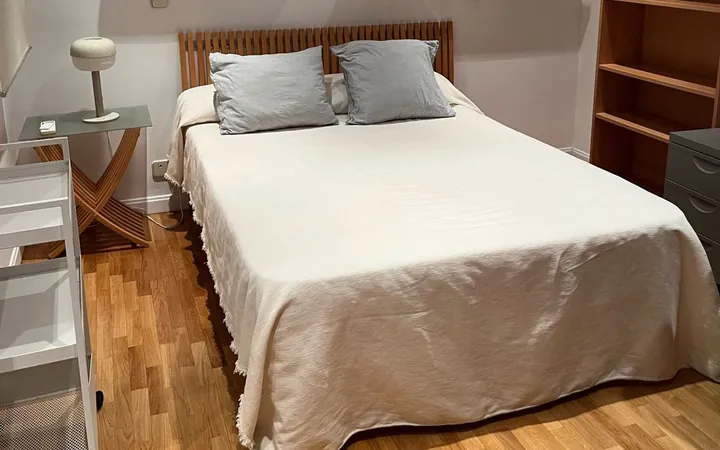 Piso en Calle de Alberto Aguilera, 32, Arapiles - Foto 5