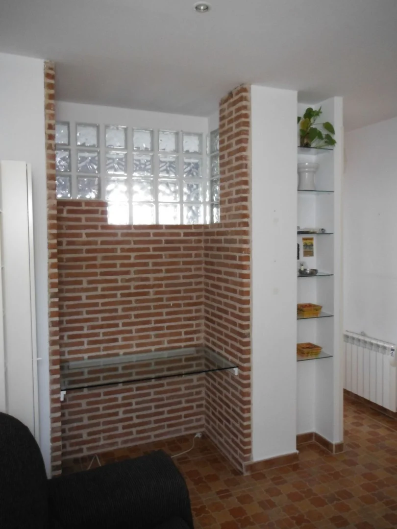 Piso en Barrio Lavapiés-Embajadores - Foto 5