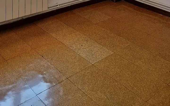 Piso en Calle Fausto Domingo, 8, Puerta Bonita - Foto 12