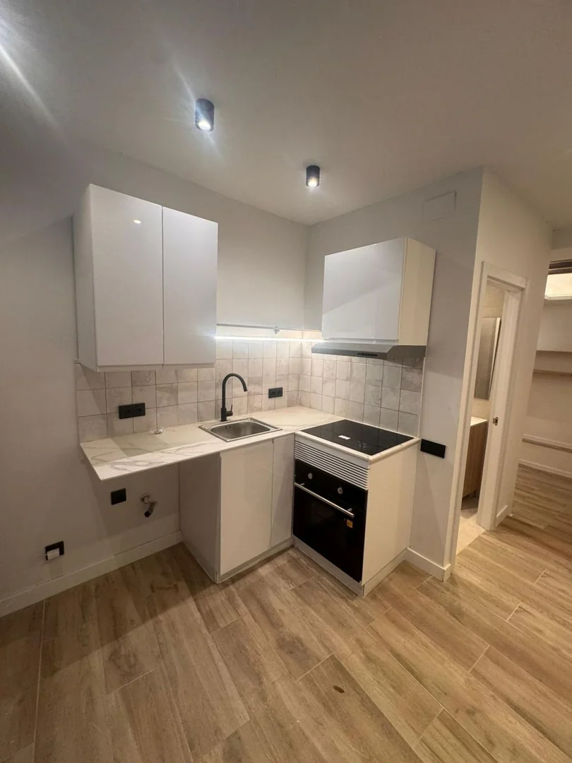 Estudio en Calle de l'Allada-Vermell, Sant Pere - Santa Caterina i la Ribera - Foto 11
