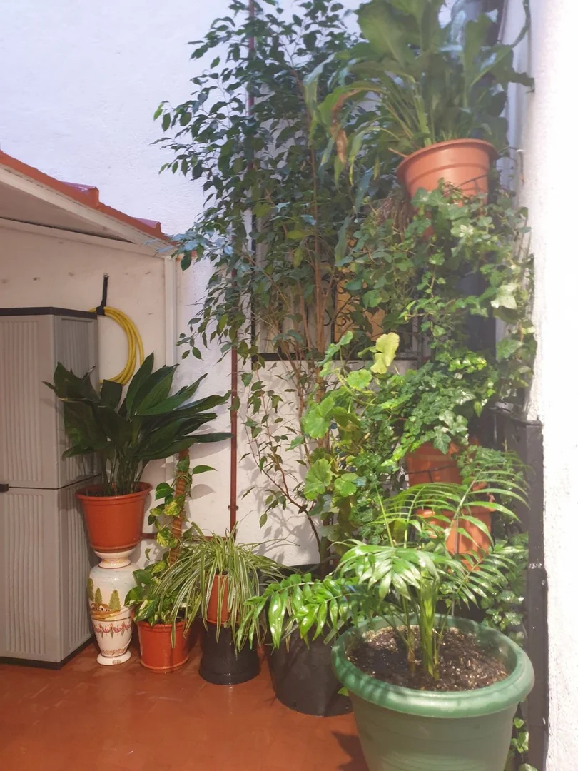 Piso en puerta del Sol, 5 - Foto 26