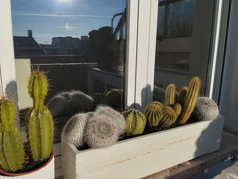 Ático en calle de Méjico, 15 - Foto 13