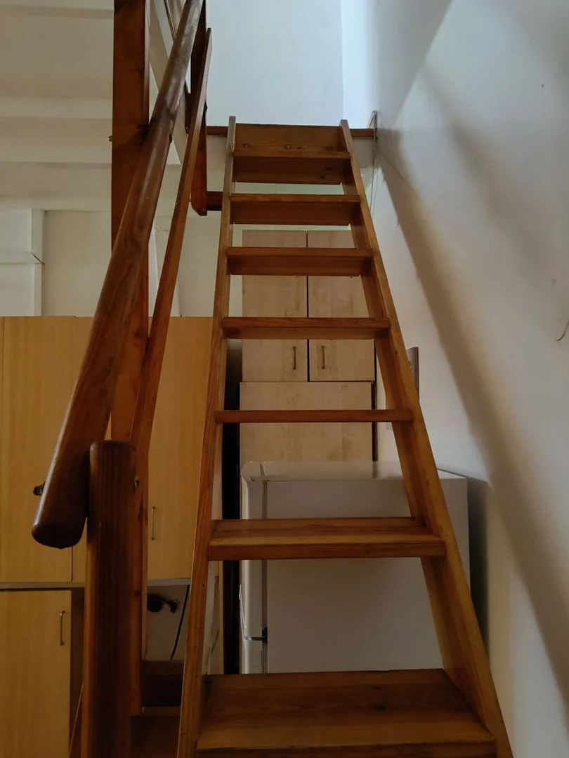 Estudio en Calle Ramón Rocafull, 60, El Carmel - Foto 9