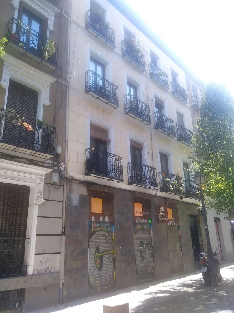 Piso en Calle de Santa Brígida, 6, Chueca-Justicia - Foto 4