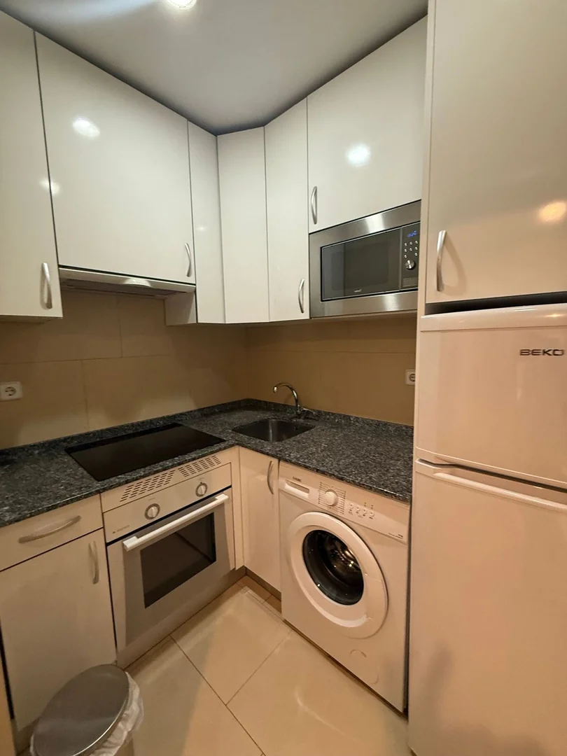 Estudio en Calle de Sánchez Pacheco, 16, Ciudad Jardín - Foto 11
