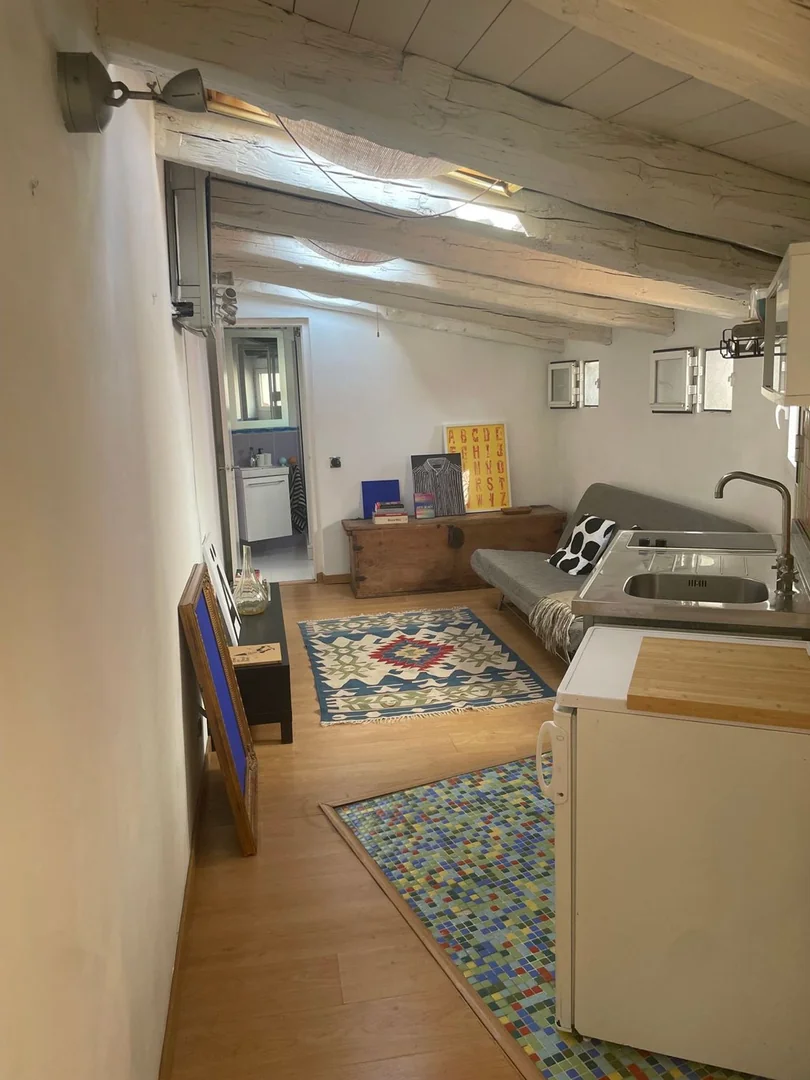 Ático en Plaza de Cascorro, 2, Lavapiés-Embajadores - Foto 37