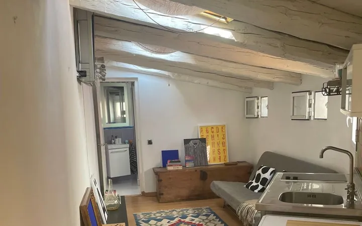 Ático en Plaza de Cascorro, 2, Lavapiés-Embajadores - Foto 37