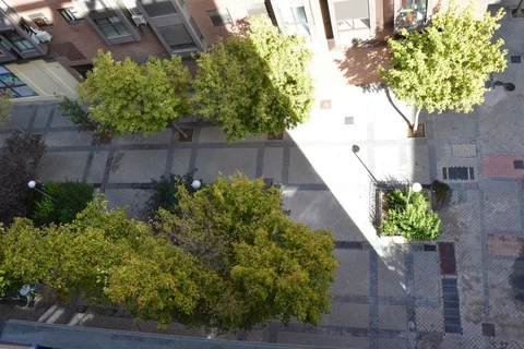 Piso en calle Majuelo, 8 - Foto 6