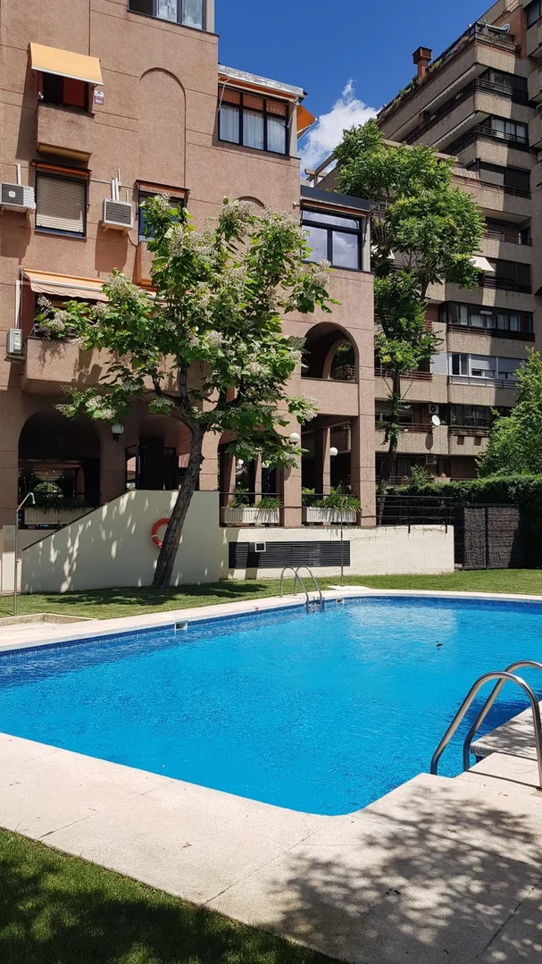 Piso en Calle Costa Rica, 40, Bernabéu-Hispanoamérica - Foto 24