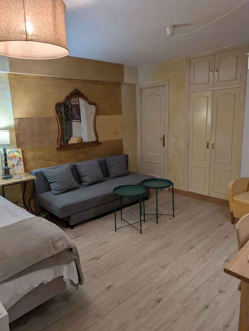 Estudio en Calle de la Cava Baja, 30, Palacio - Foto 15