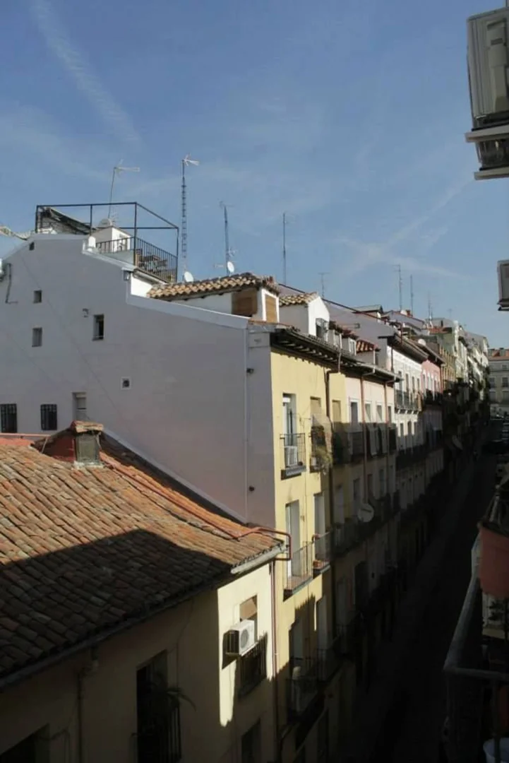 Piso en Calle Salitre, 27, Lavapiés-Embajadores - Foto 10