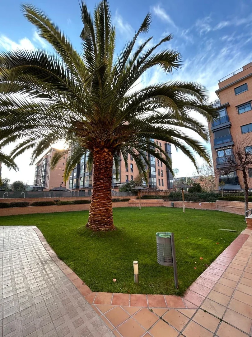 Piso en Calle de Aracne, 21, Rejas - Foto 29